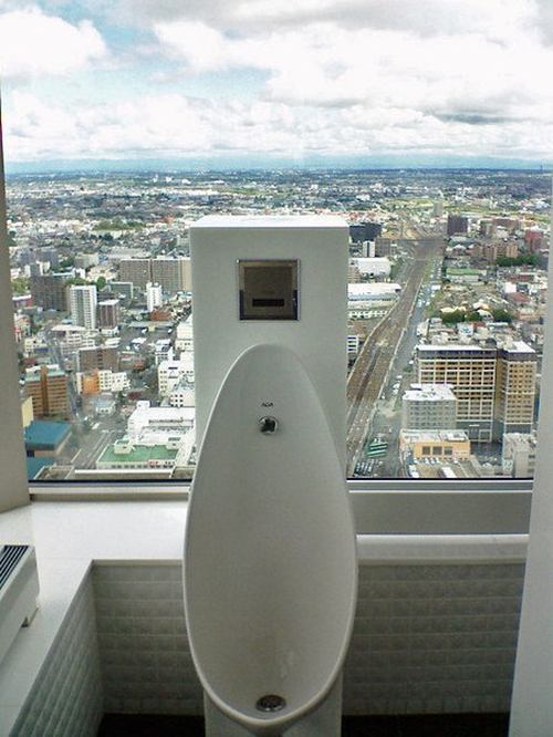 俯瞰天下的廁所 (1)