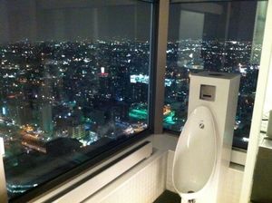 俯瞰天下的廁所 (2)